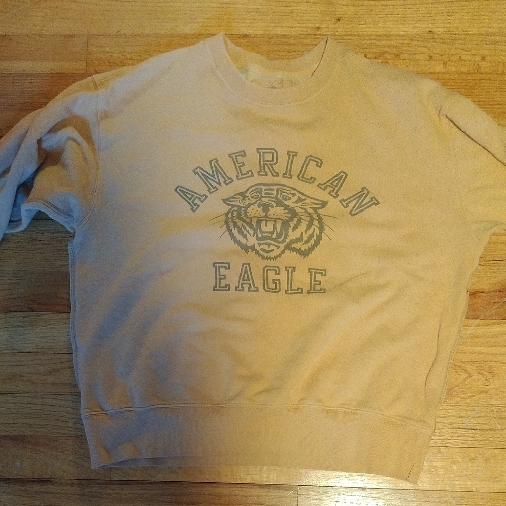 American Eagle Tan Sweatshirt